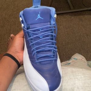 Jordan 12 indigo 12s